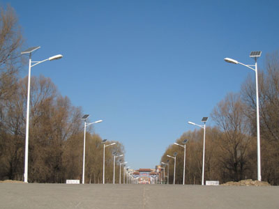 太陽(yáng)能路燈案例三